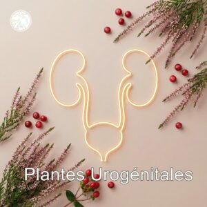 Les Plantes de la Sphère Uro-génitale ™