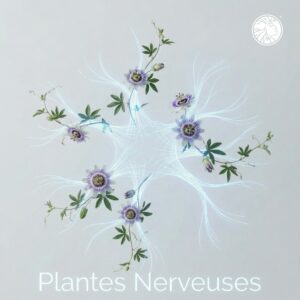 Les Plantes de la Sphère Nerveuse ™