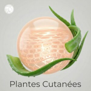 Les Plantes de la Sphère Cutanée ™