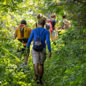 Balade Botanique + Apéro Végé & Bio